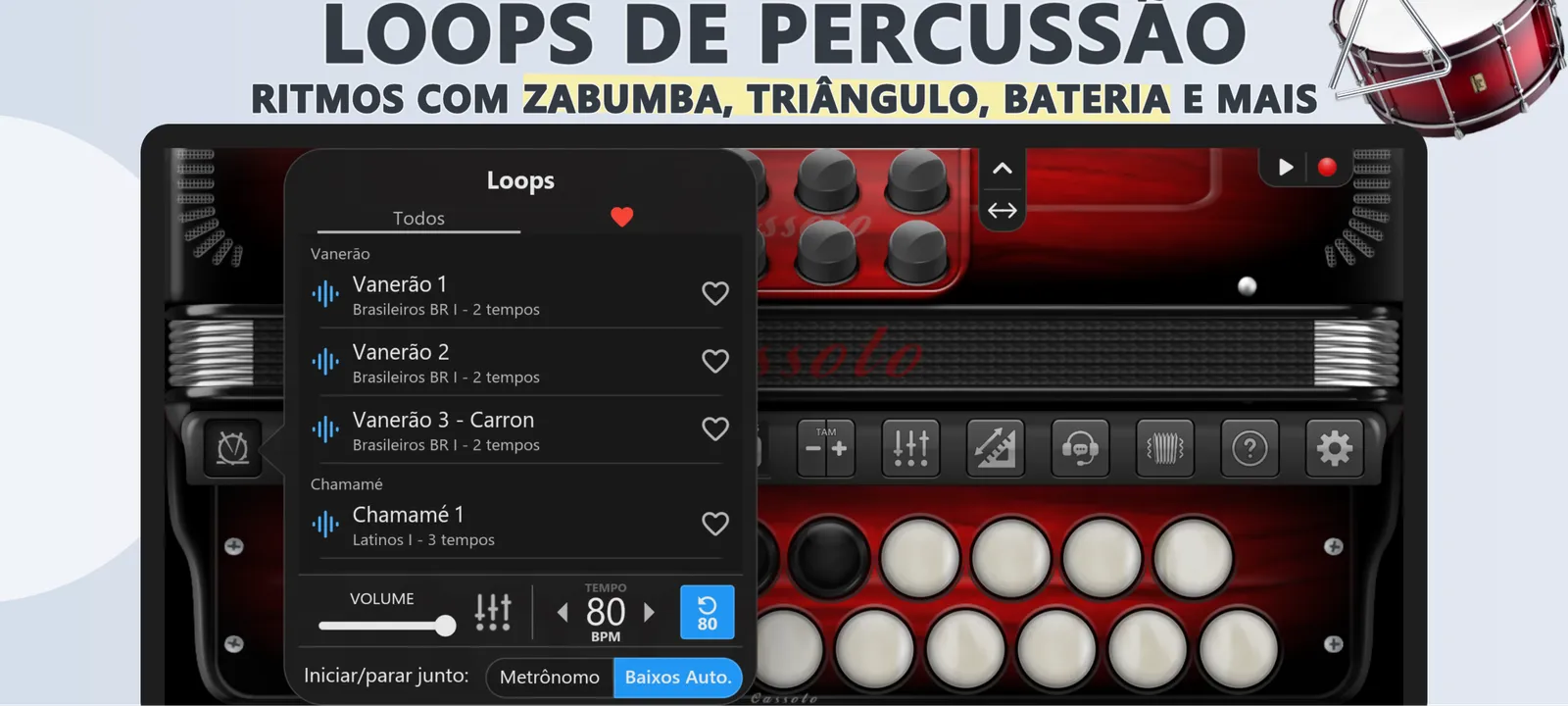 Acordeon Diatônico Gaita Ponto: captura de tela 3 de 5