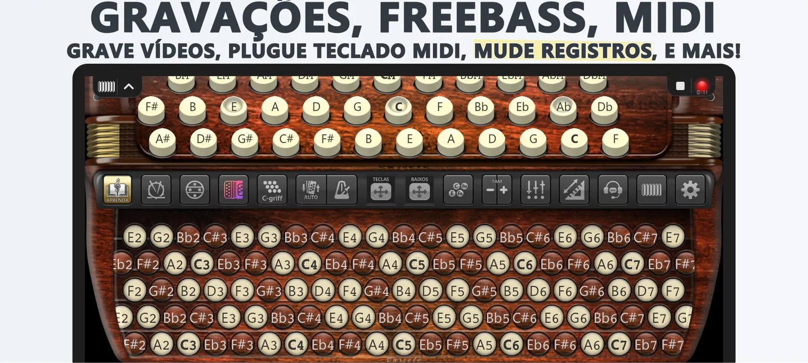 Acordeon Cromático Cassoto: captura de tela 6 de 6
