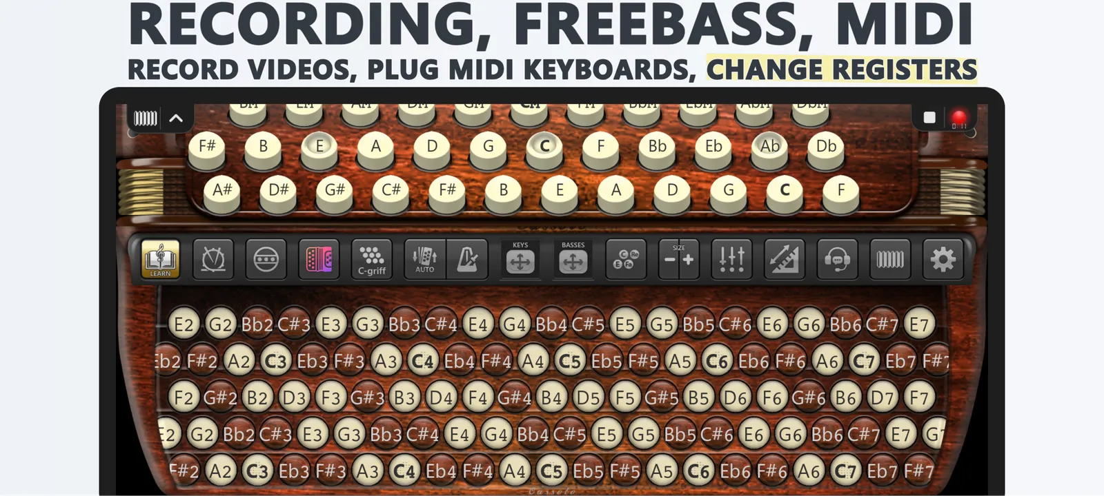 Accordion Chromatic Cassoto: screenshot 6 of 6