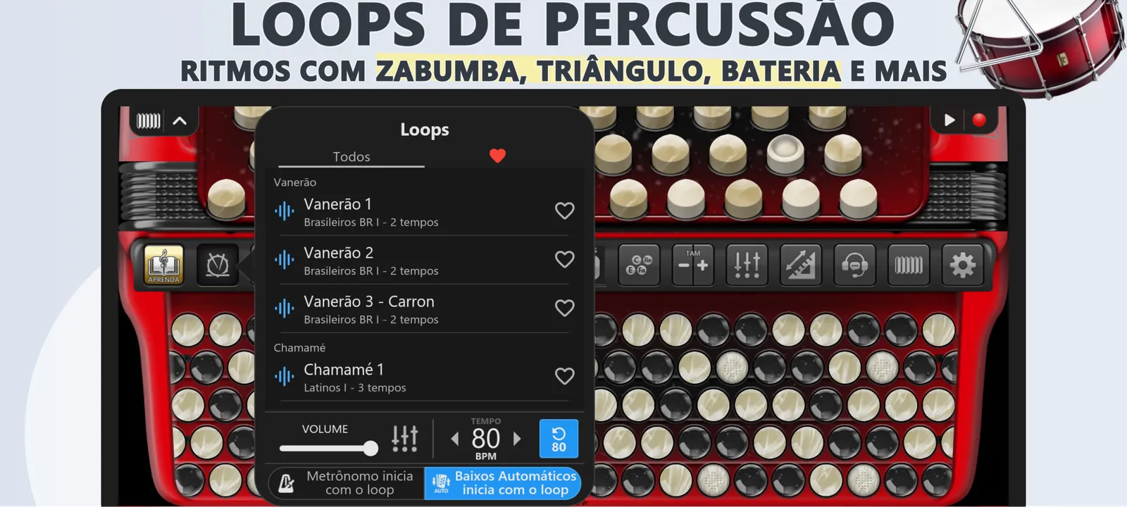Acordeon Cromático Cassoto: captura de tela 4 de 6